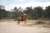 Imperial Riding Licol en Corde IRHFree Ride Noir