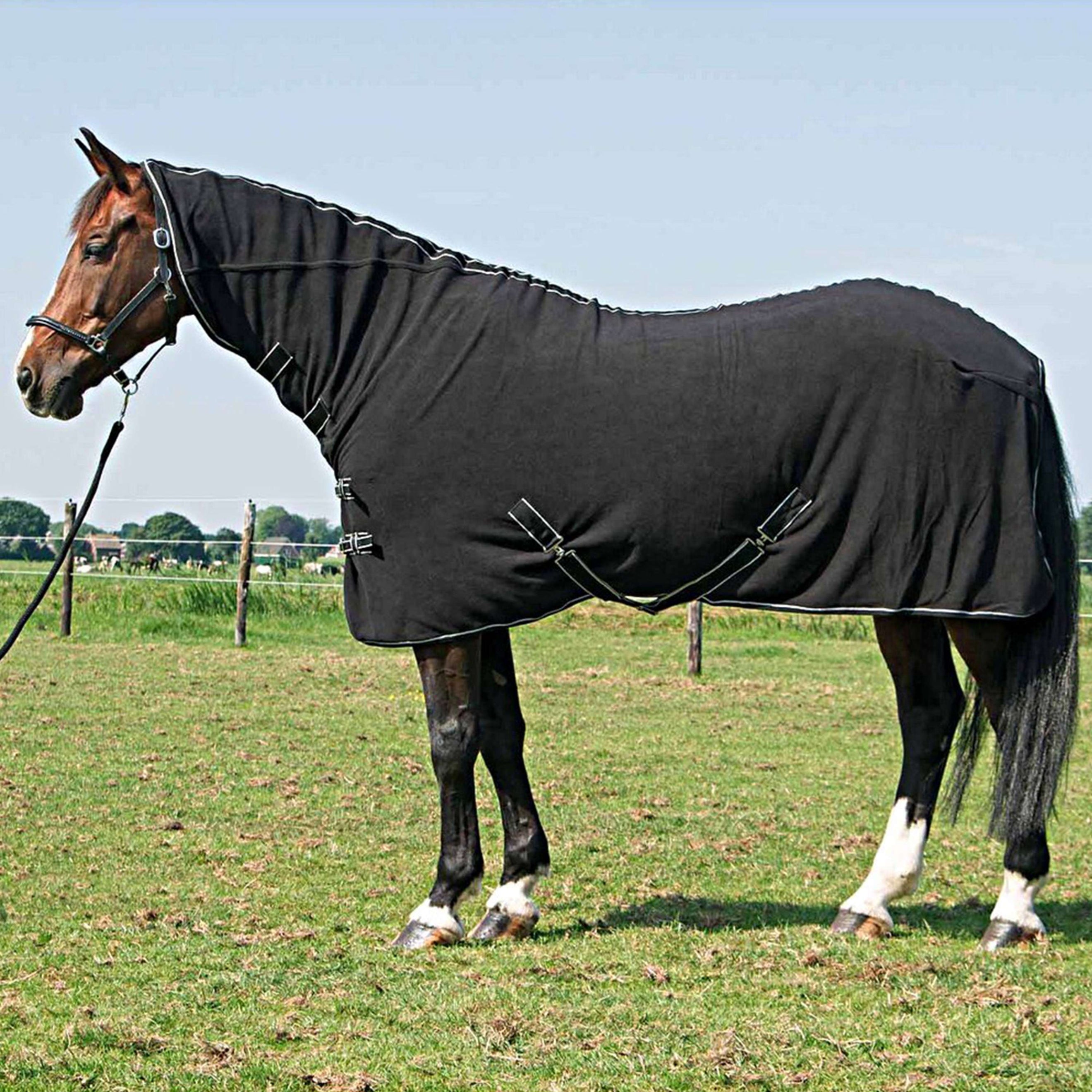 Harry's Horse Couverture Polaire avec Couvre-cou Noir Harry's Horse Couverture Polaire avec Couvre-cou Noir