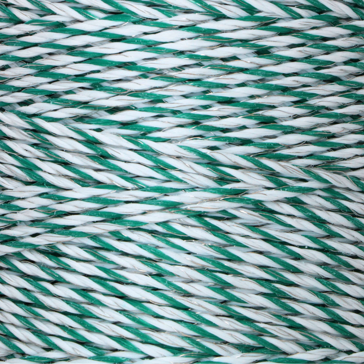 Ako Fil de Clôture PremiumLine Blanc/Vert