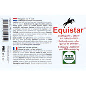 Stassek Recharge Equistar