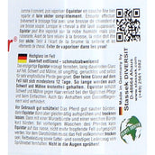 Stassek Recharge Equistar