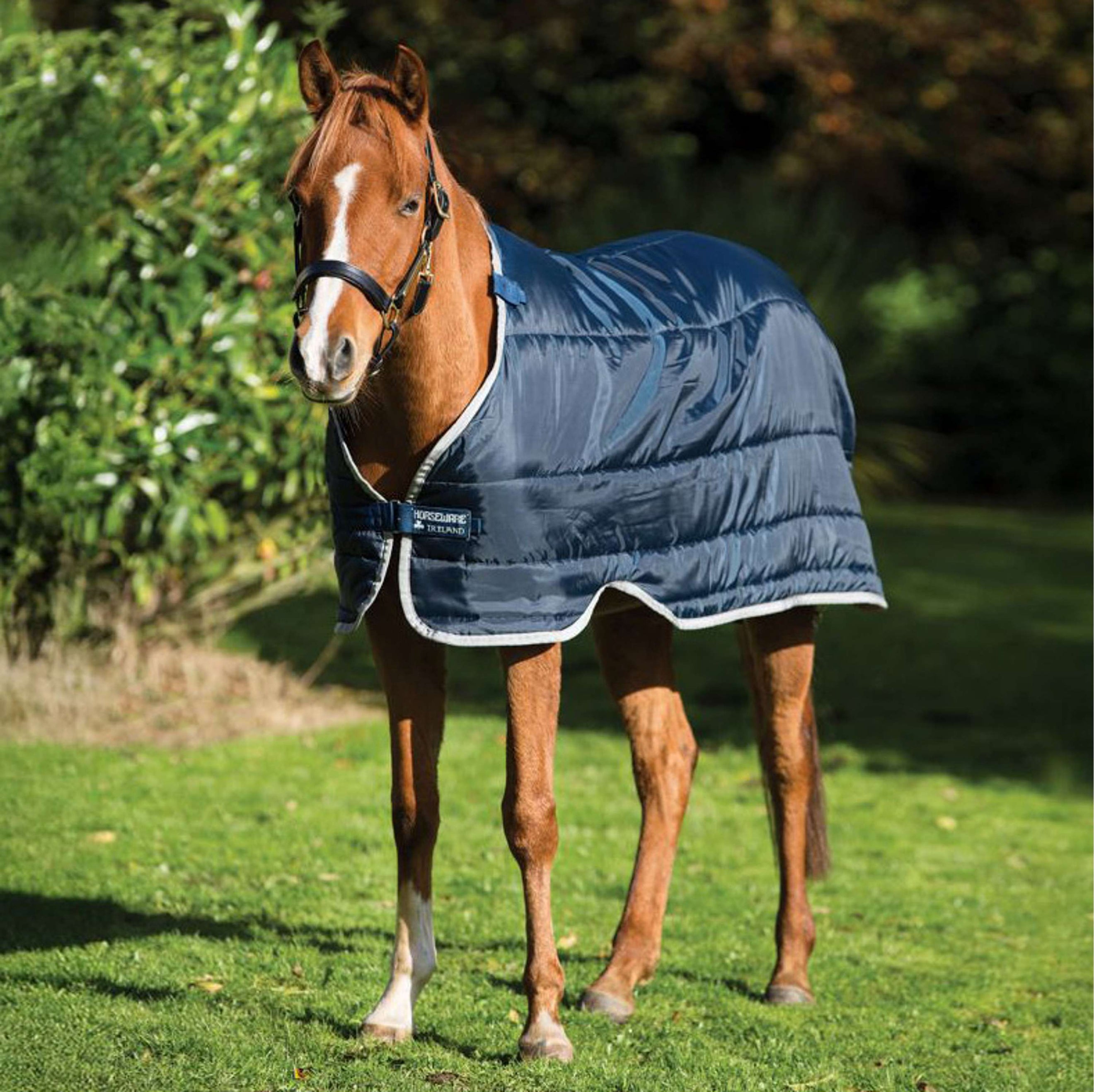Horseware Couverture Poney 100g Marine Argent