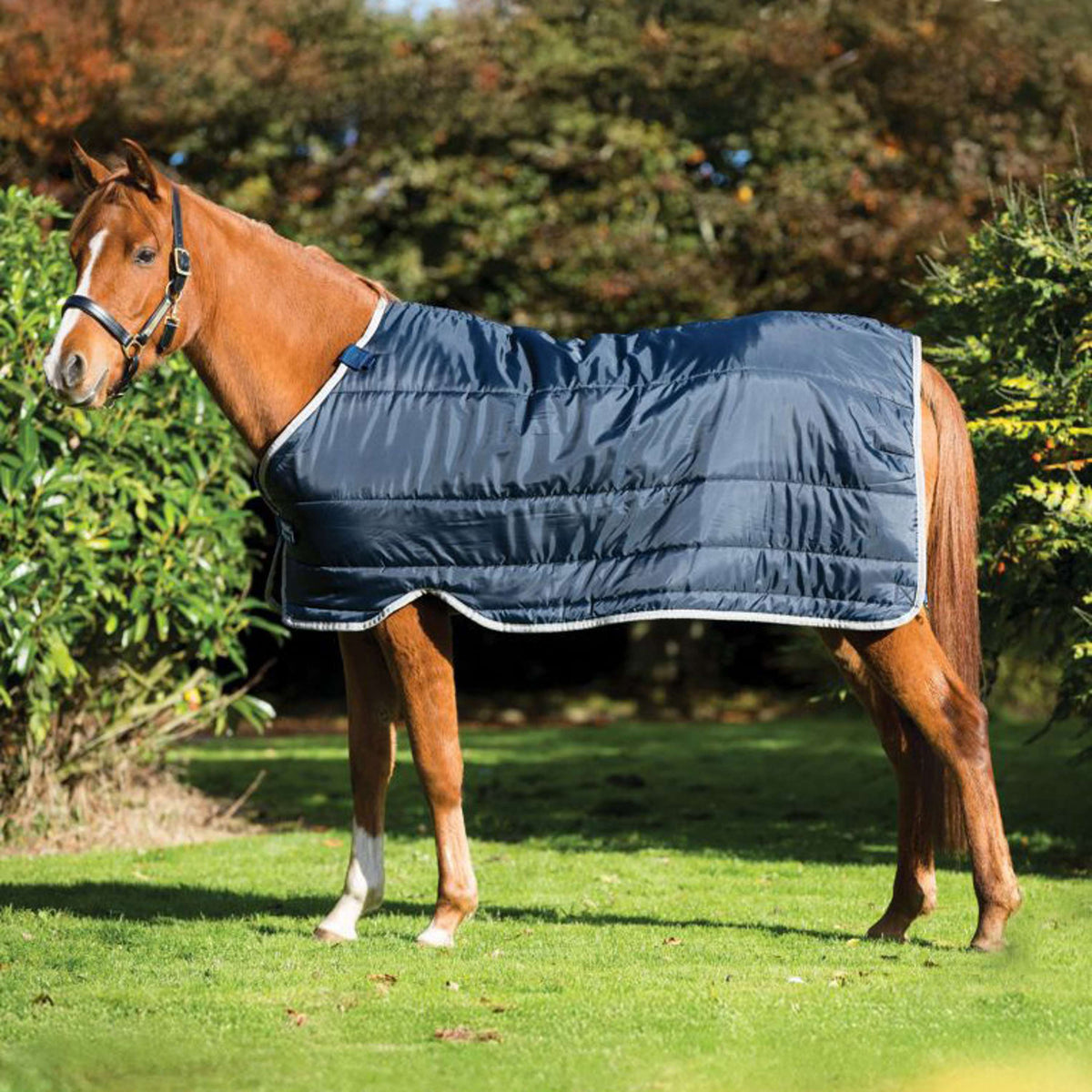 Horseware Couverture Poney 100g Marine Argent