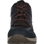 Ariat Chaussures d'Écurie Telluride II H2O Marron foncé