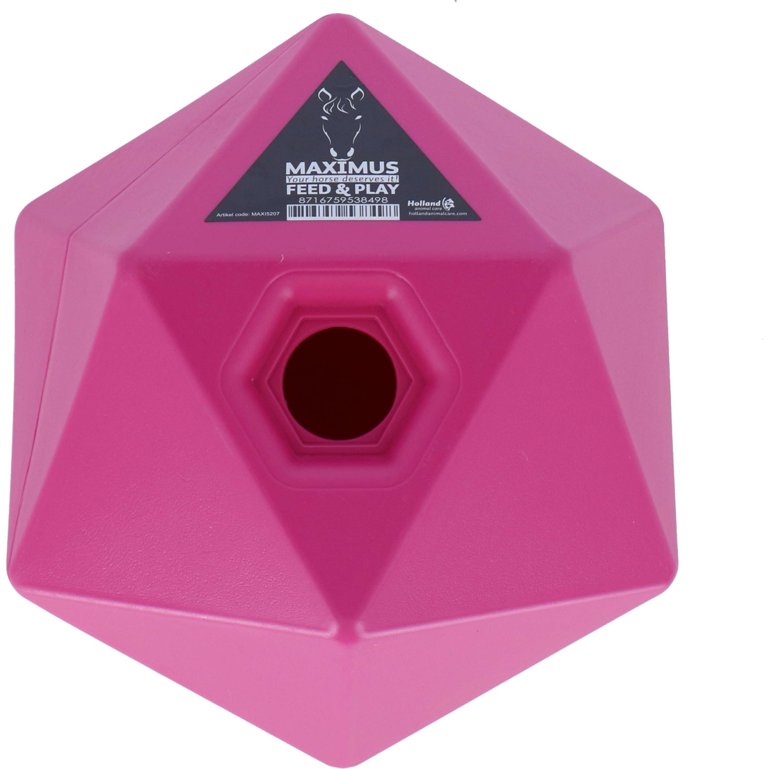 Maximus Feed & Play Rose Maximus Feed & Play Rose