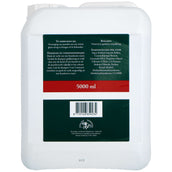 Grand National Shampooing Equipe