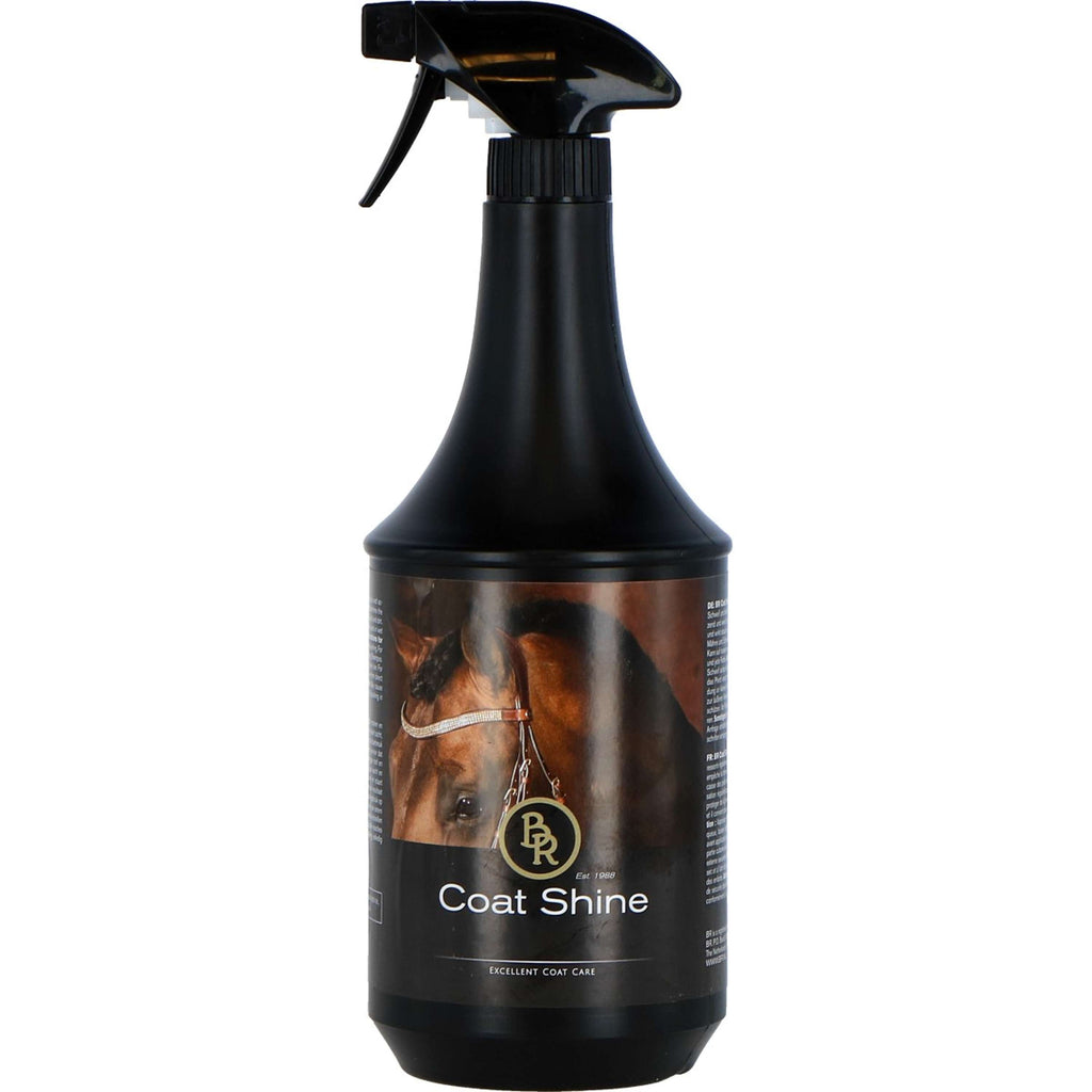 BR Couche Brillance Spray