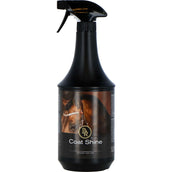 BR Couche Brillance Spray