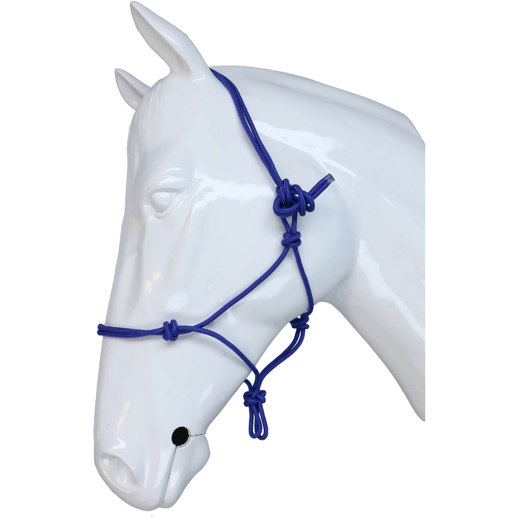 Riding World Licol Fine Éthologique Bleu Royal