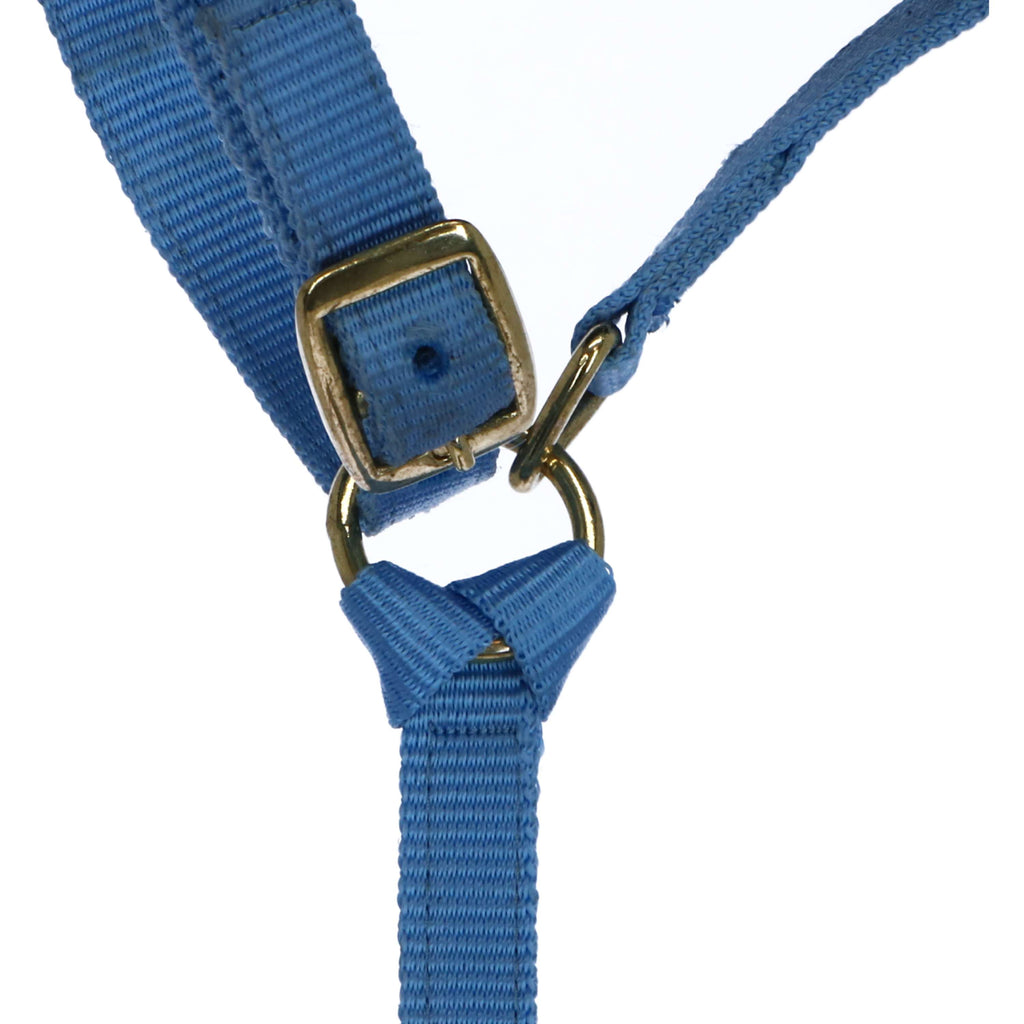 Norton Licol pour Poulain avec Ligne Bleu Clair