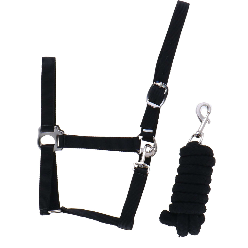 Riding World Ensemble Licol Club avec Corde Noir