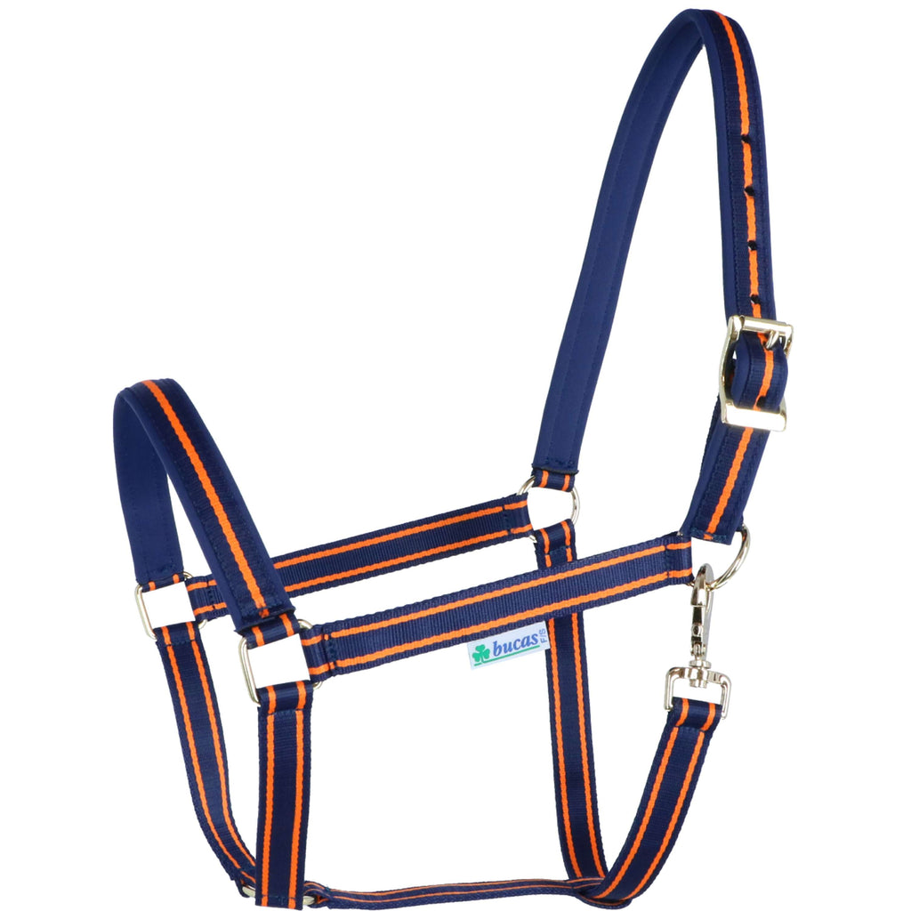 Bucas Licol Dublin Poulain Bleu Marine/Orange