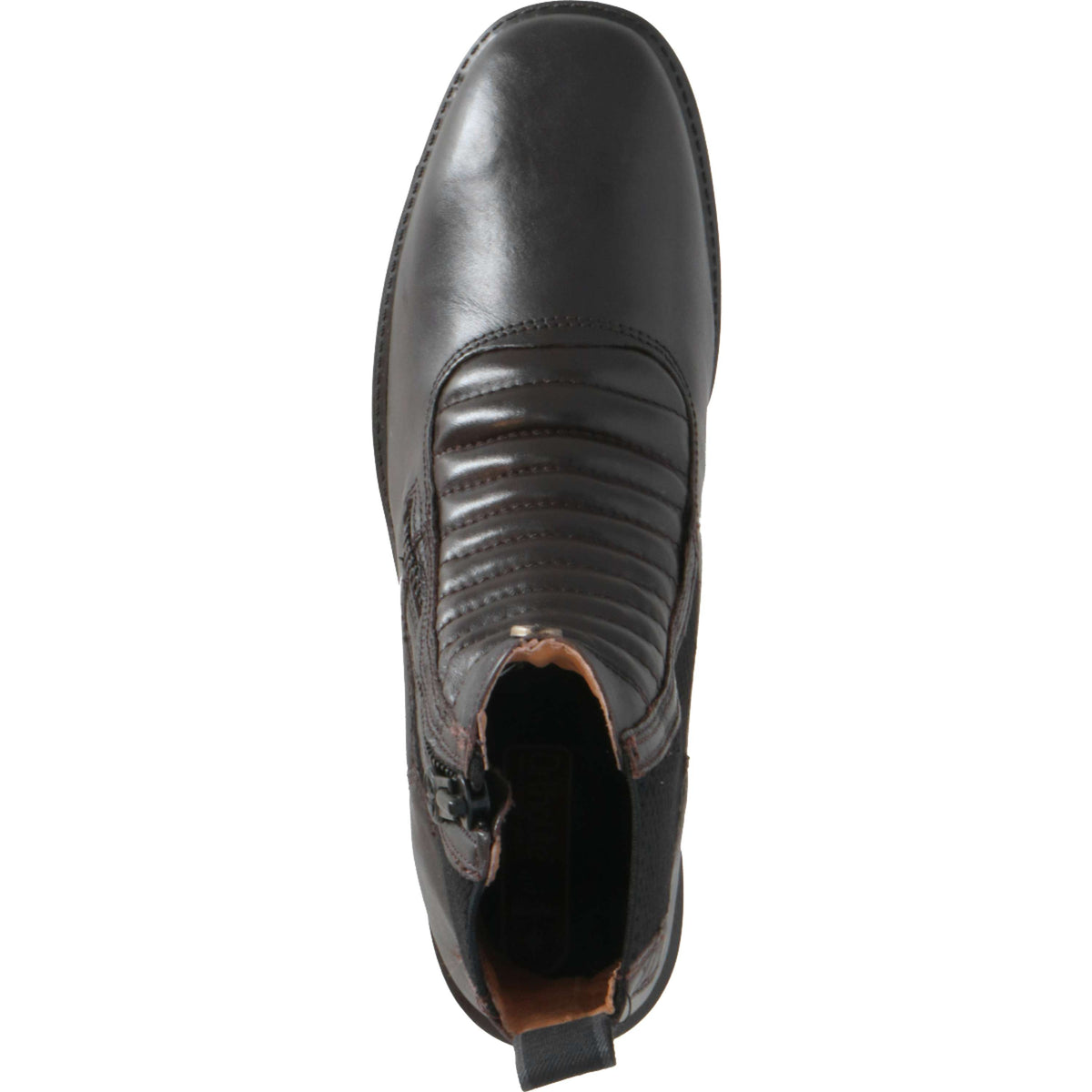 Suedwind Jodhpur Legacy Milano Side Zip Marron