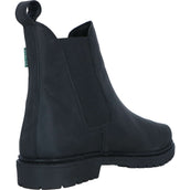 Norton Jodhpurs Camargue Noir