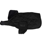 Kentucky Veste pour Chien Original Royal Noir