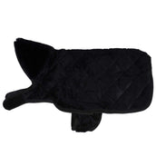 Kentucky Veste pour Chien Original Royal Noir