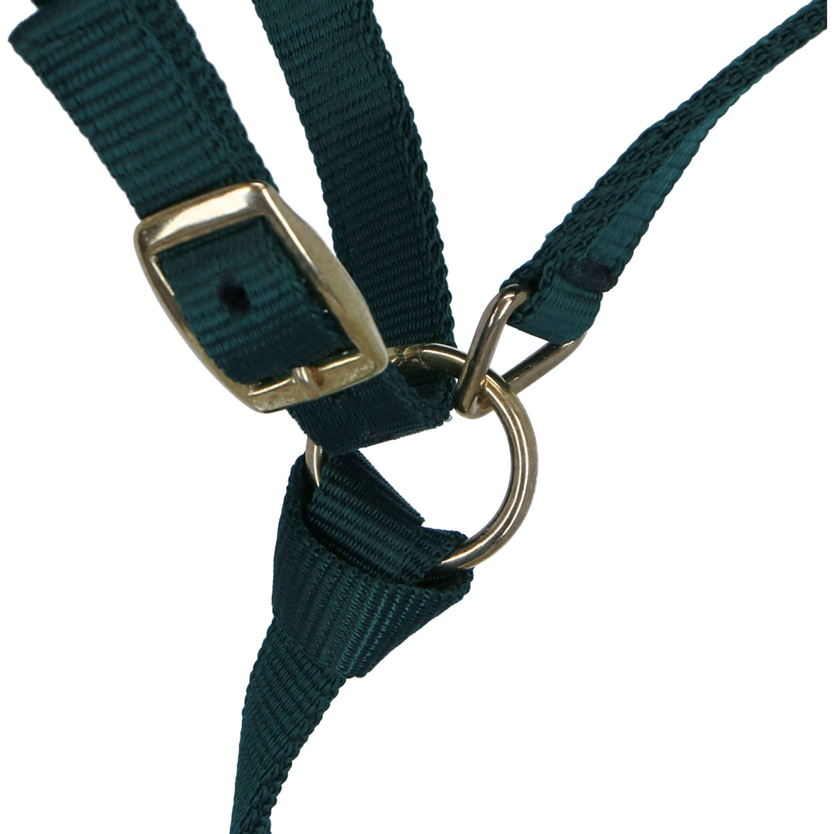 Norton Licol pour Poulain avec Longe Vert Foncé