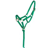 Norton Licol pour Poulain avec Longe Vert clair