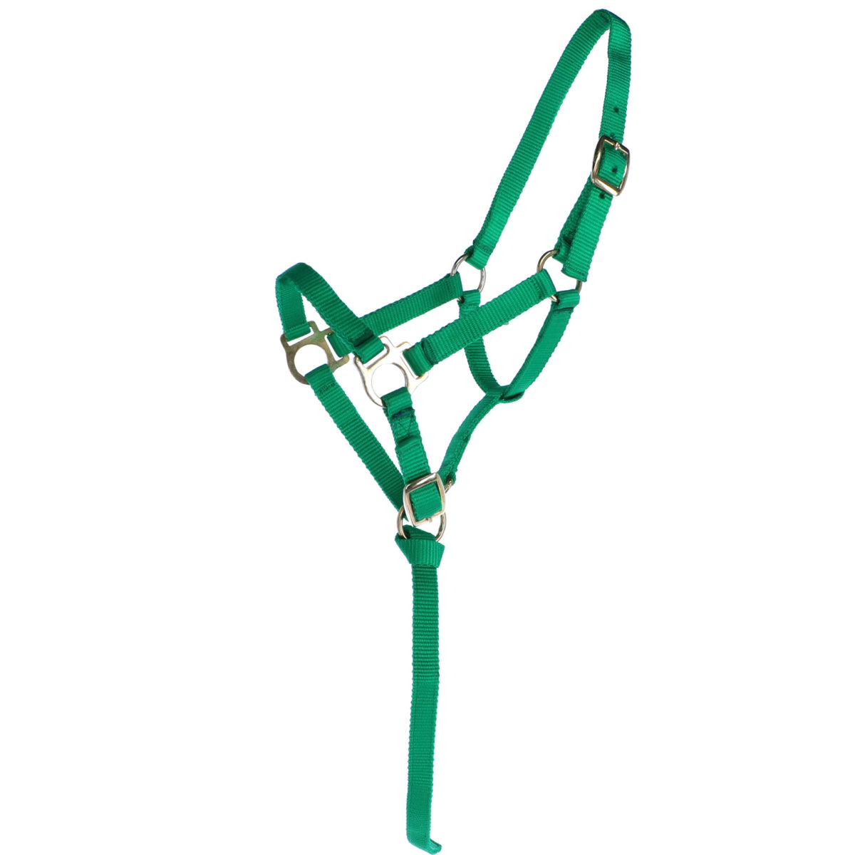 Norton Licol pour Poulain avec Longe Vert clair