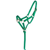 Norton Licol pour Poulain avec Longe Vert clair