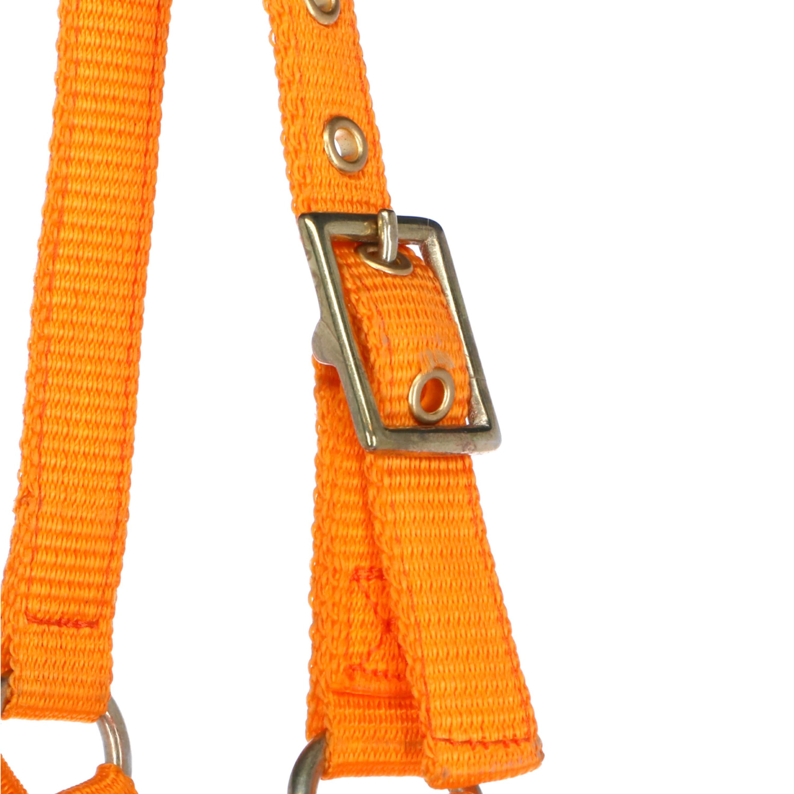 Norton Licol Mini Réglable Orange Norton Licol Mini Réglable Orange
