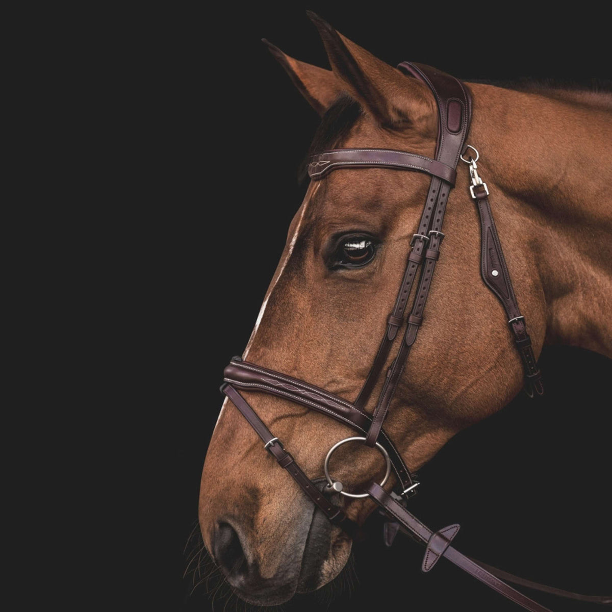Equiline Bride JP Anatomique Light Marron