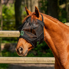 Agradi Horse Masque Anti-Mouches Fine Mesh sans Oreilles Noir