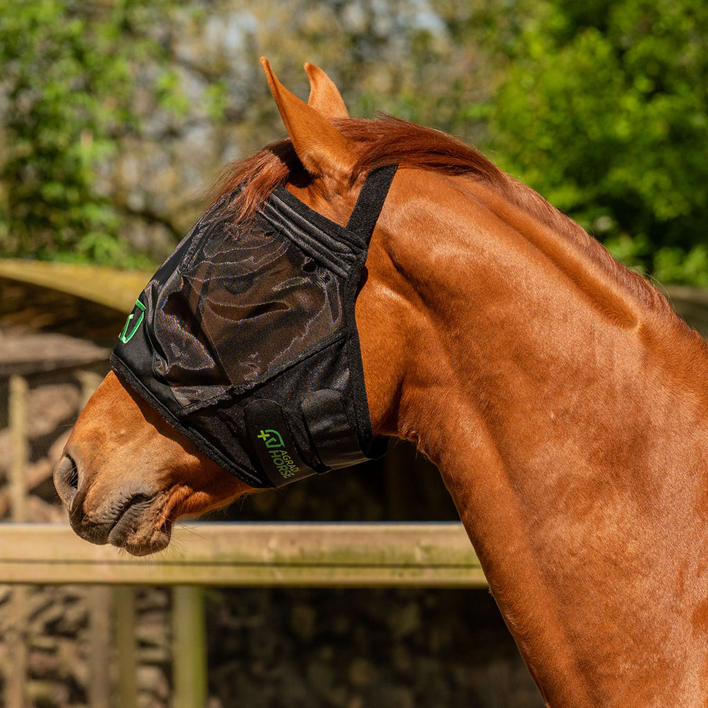 Agradi Horse Masque Anti-Mouches Fine Mesh sans Oreilles Noir