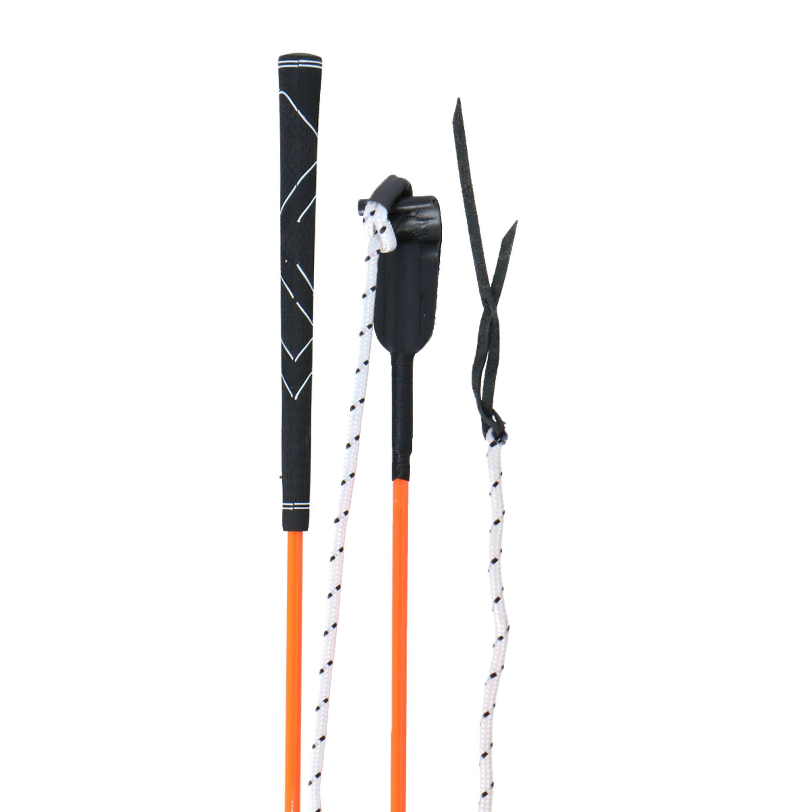 Whip & Go Stick Éthologique Orange