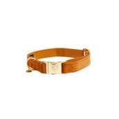 Kentucky Collier velours Orange