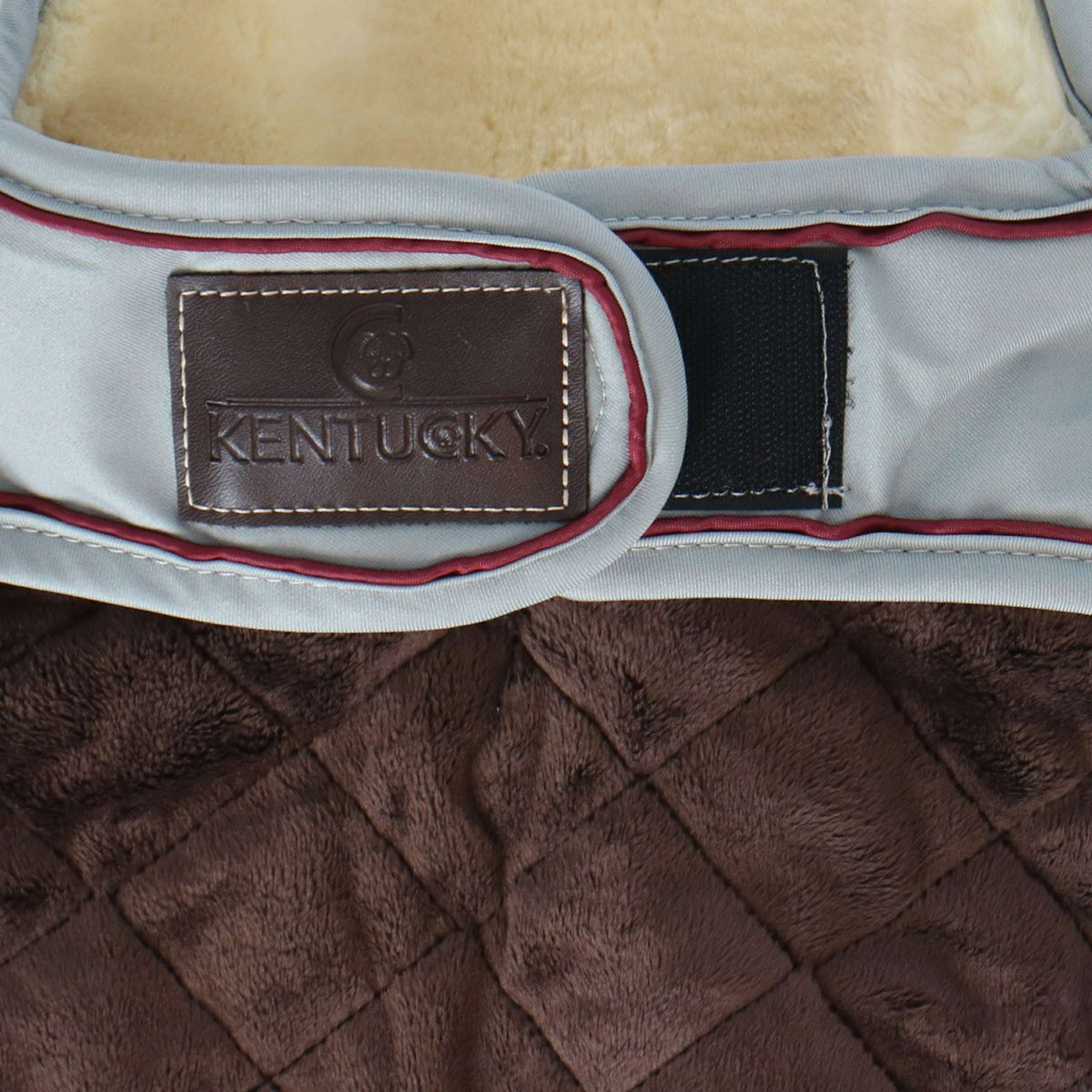 Kentucky Veste pour Chien Waterproof 160g Dusty Blue