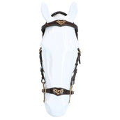 F.R.A. Hackamore Imperial Rênes en Cuir Souple Havane