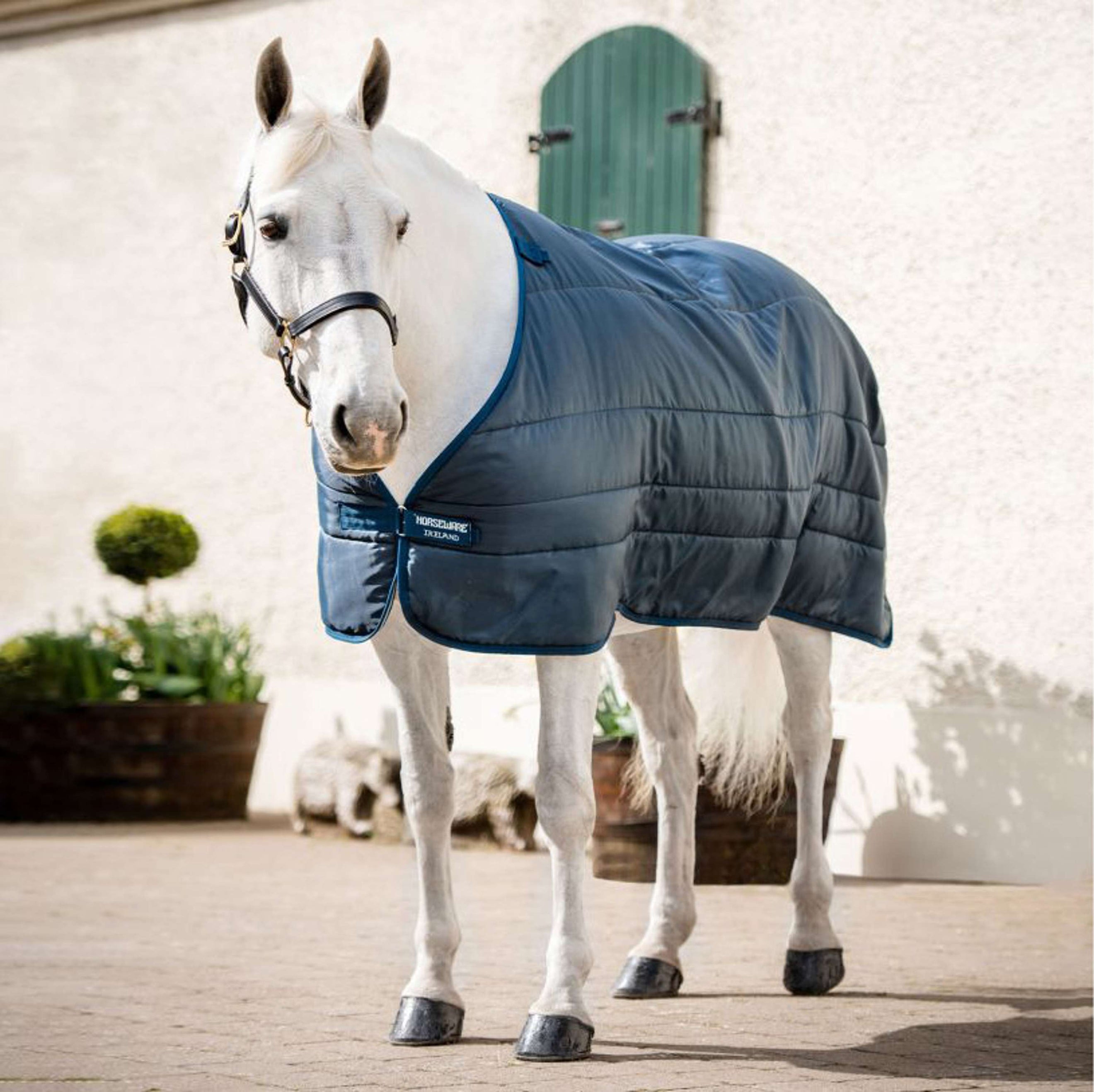 Horseware Couverture XL 100g Marine/Marine