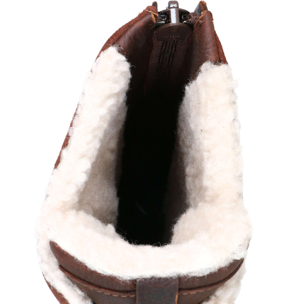 Ariat Bottes d'Extérieur Wythburn H2O Marron foncé
