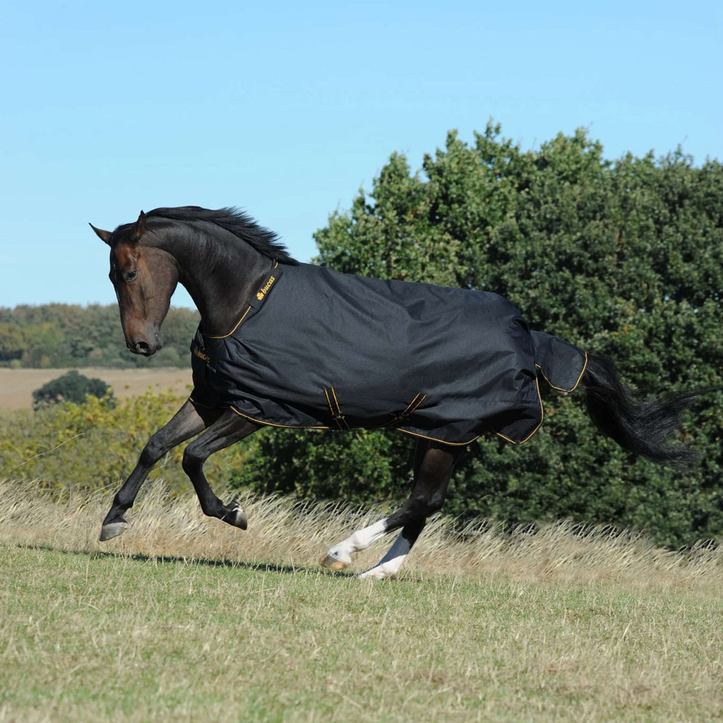 Bucas Irish Turnout Big Neck 50g Noir/Or