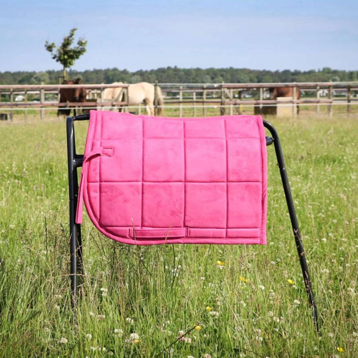 HB Tapis de Selle Shetland Rose
