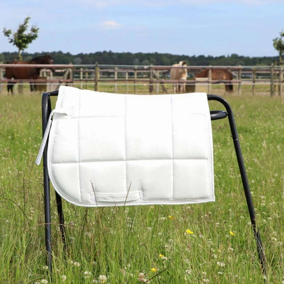 HB Tapis de Selle Shetland Blanc