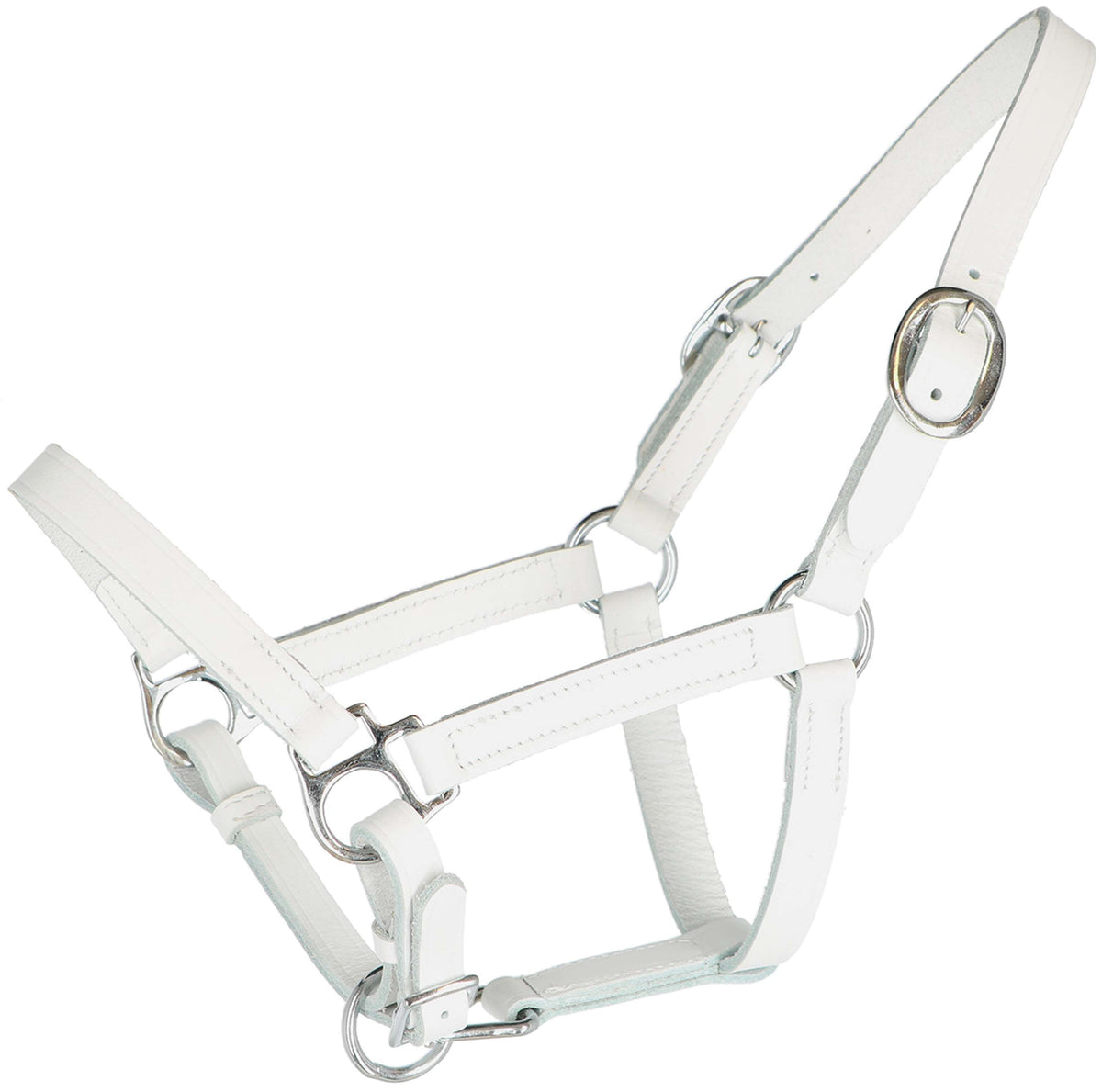 HB Licol pour Poulain Cuir Blanc