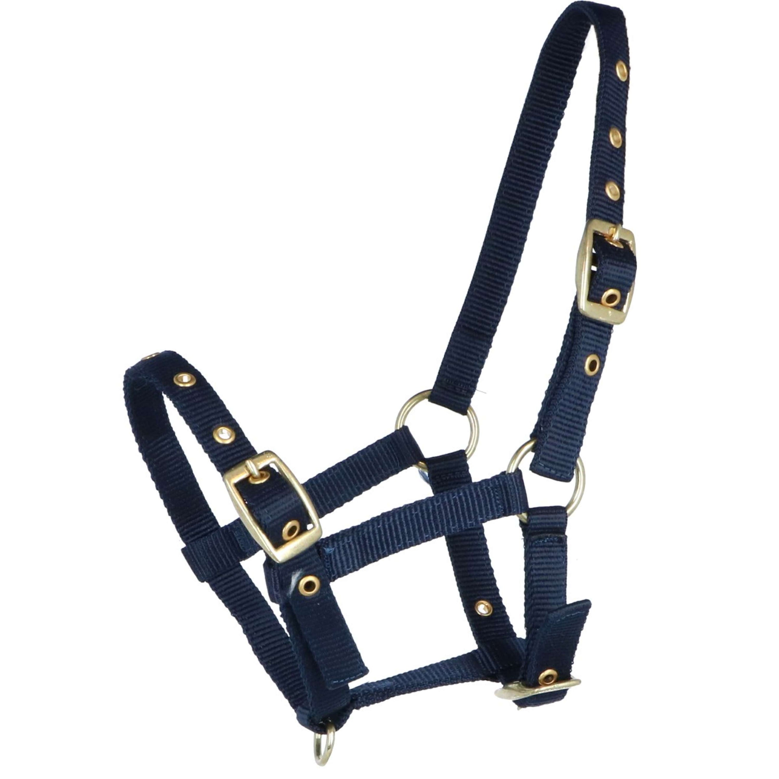 HB Licol pour Poulain Nylon Bleu HB Licol pour Poulain Nylon Bleu
