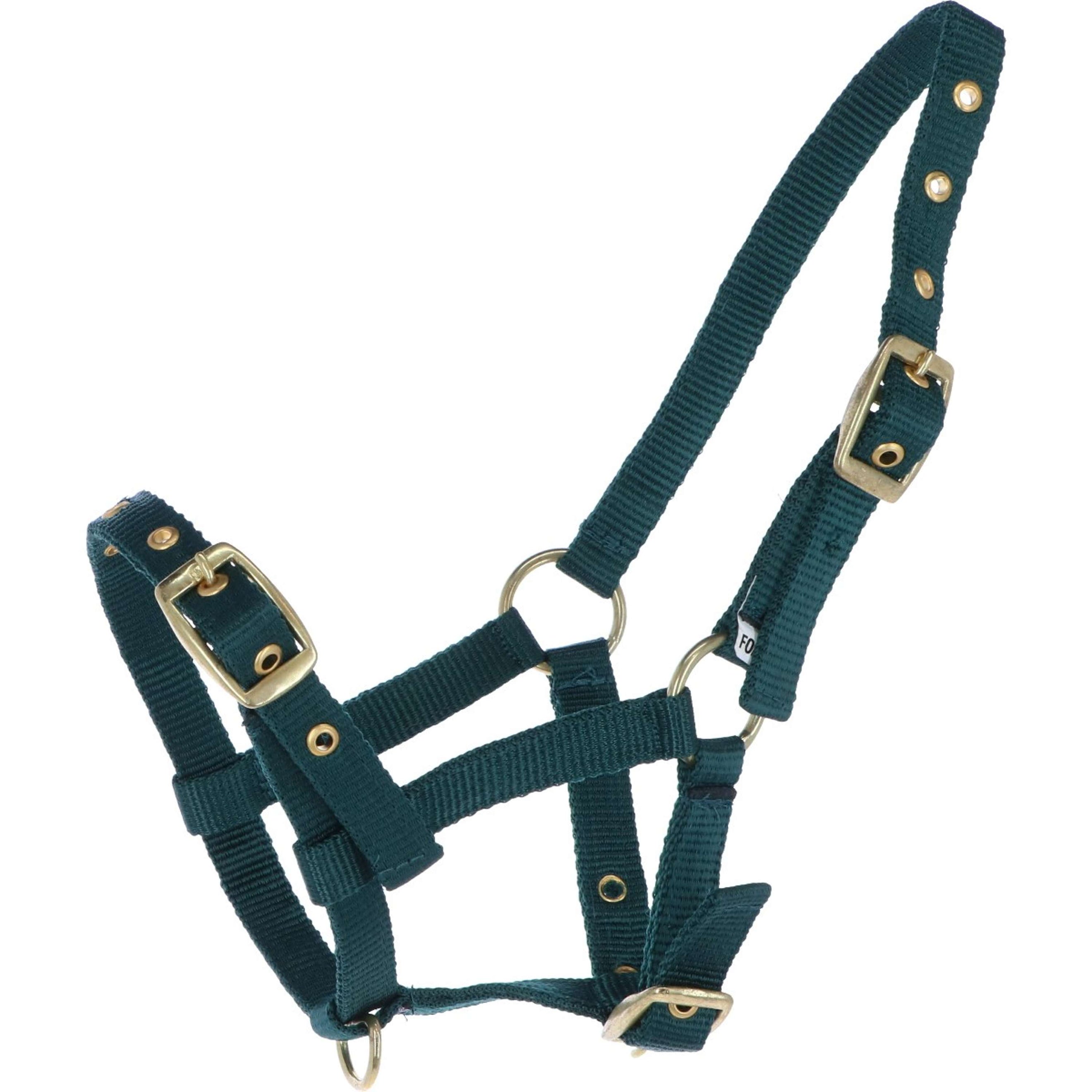 HB Licol pour Poulain Nylon Vert HB Licol pour Poulain Nylon Vert