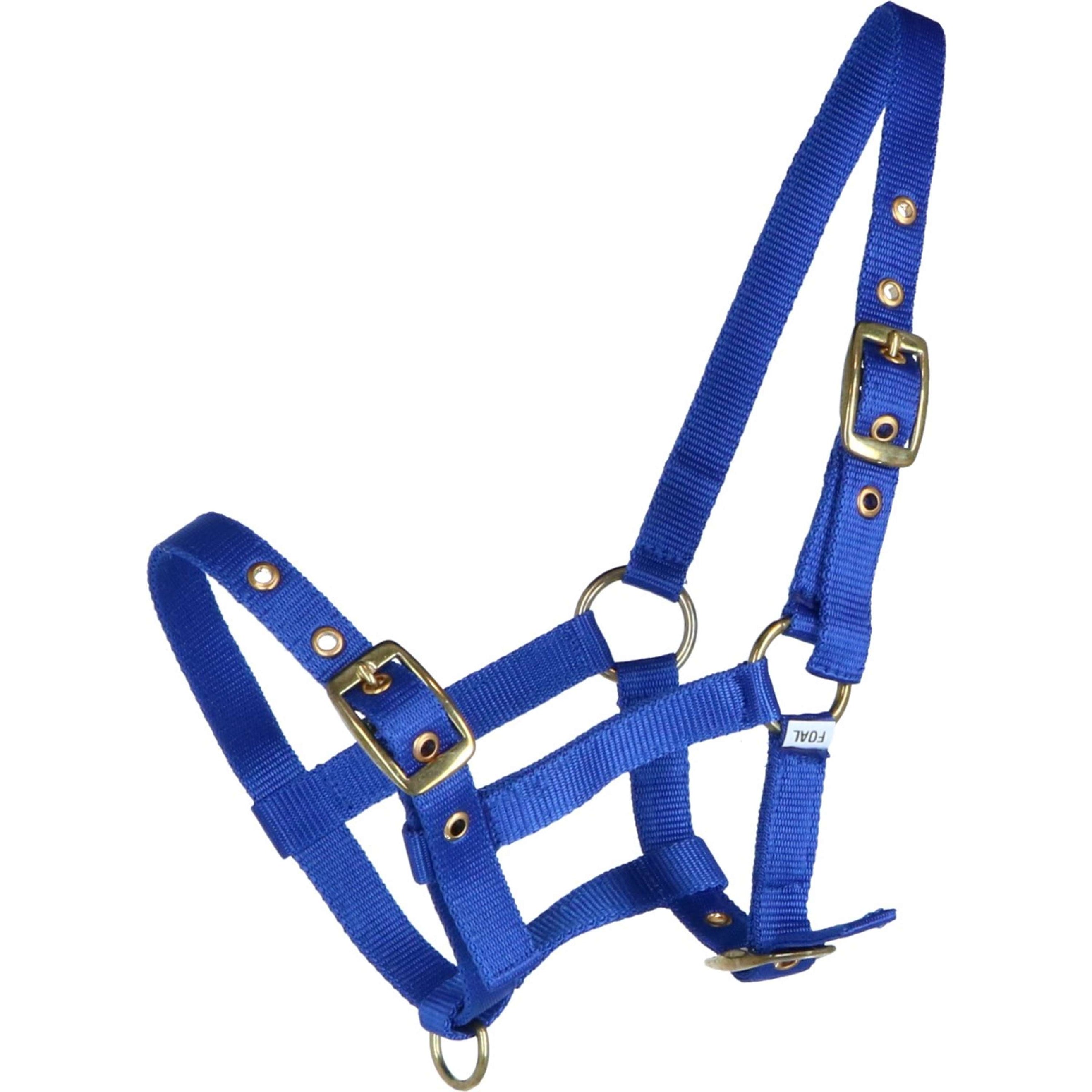 HB Licol pour Poulain Nylon Bleu Royal HB Licol pour Poulain Nylon Bleu Royal
