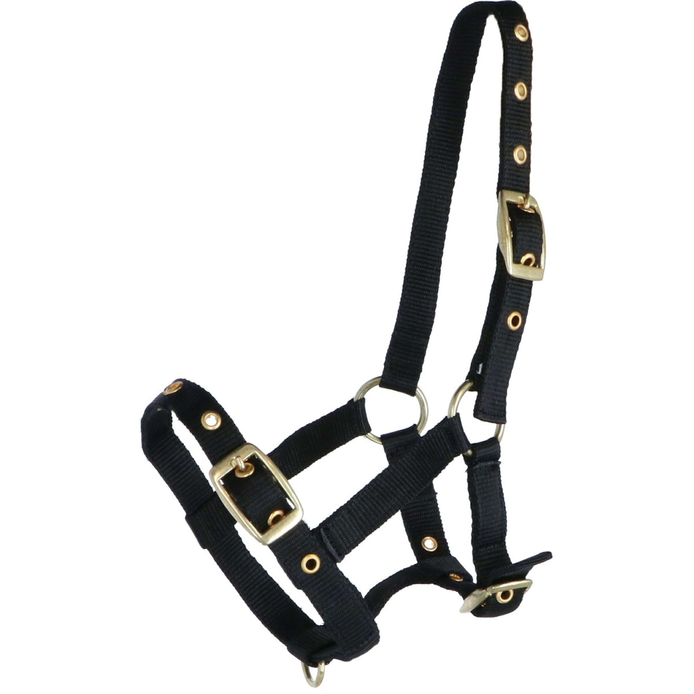 HB Licol pour Poulain Nylon Noir HB Licol pour Poulain Nylon Noir