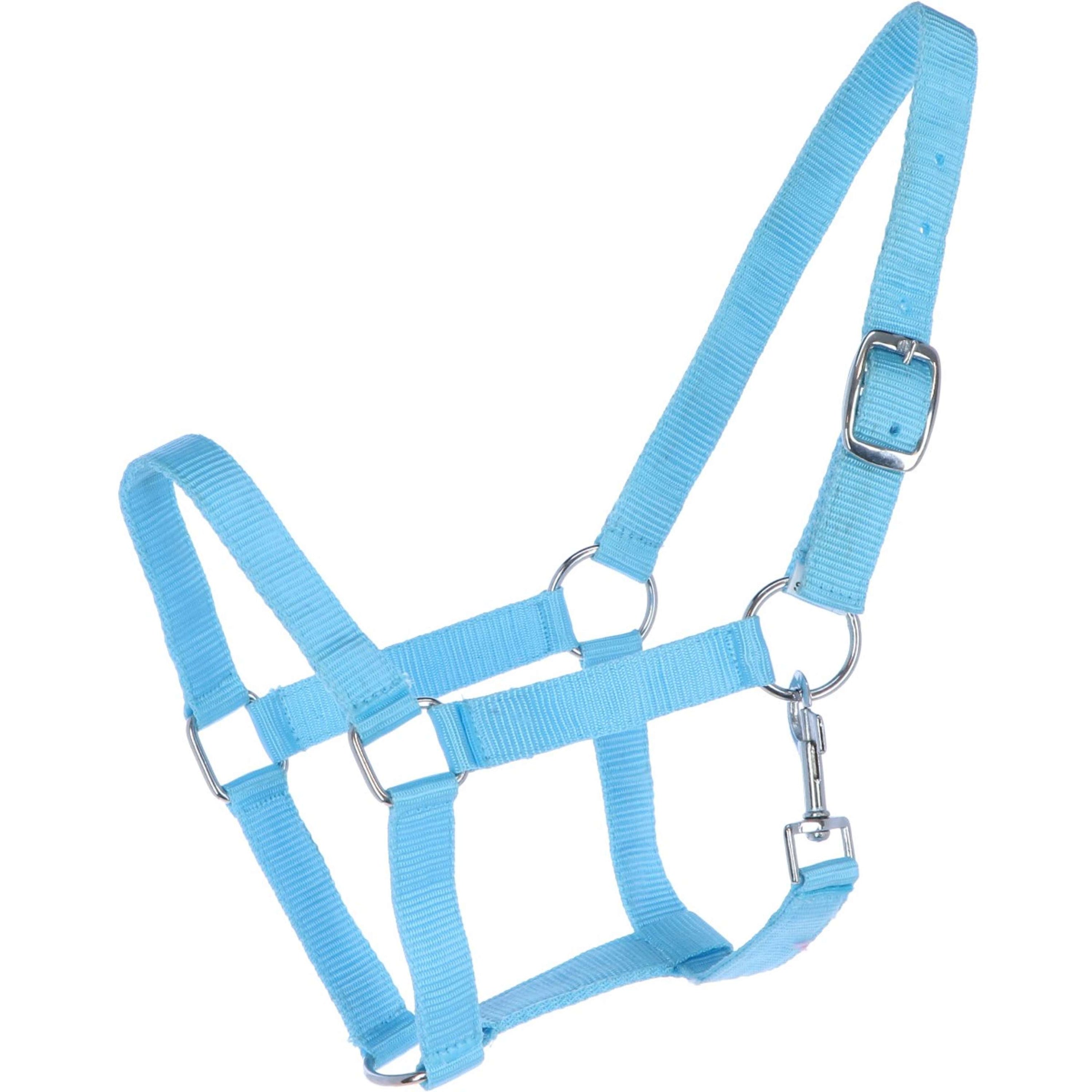 HB Licol Nylon Bleu clair HB Licol Nylon Bleu clair