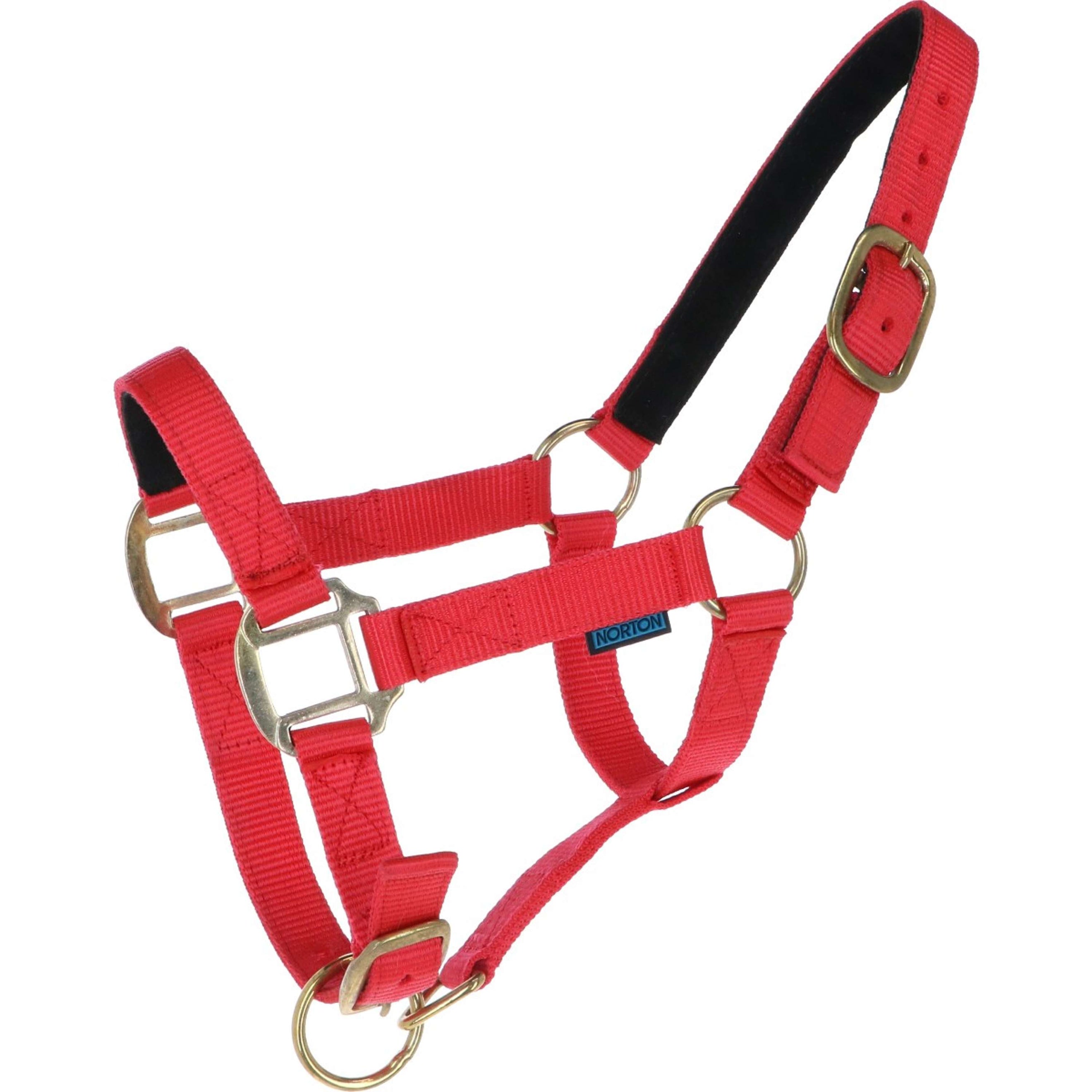 Norton Licol Nylon avec Doublure en Cuir Rouge Norton Licol Nylon avec Doublure en Cuir Rouge