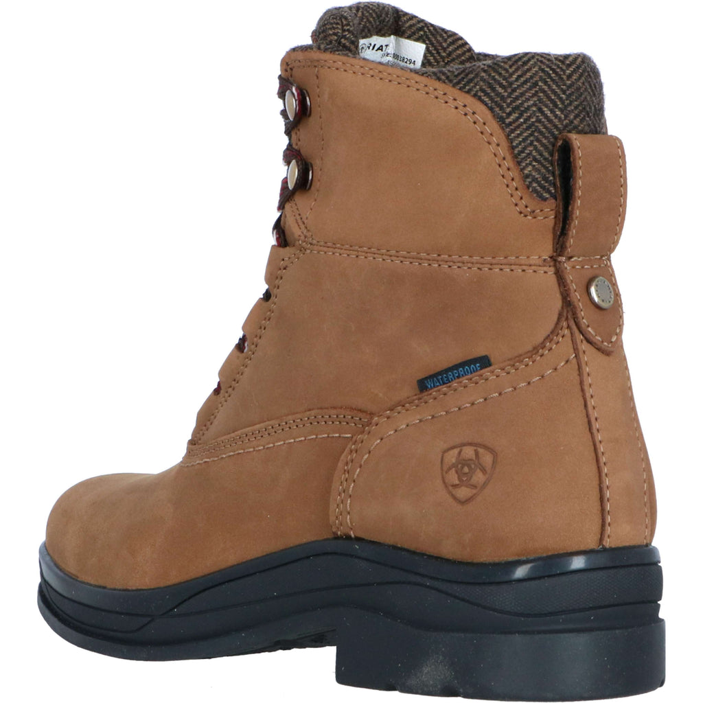 Ariat Chaussure d'Écurie Harper Waterproof Femme Dark Earth