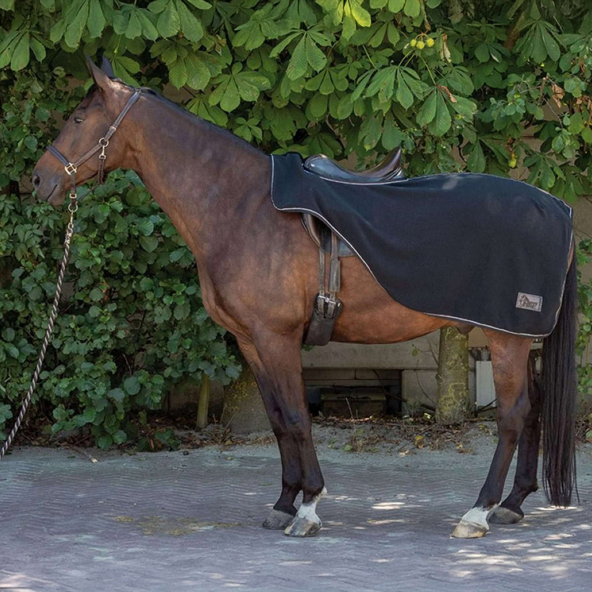Harry's Horse Couvre-reins Fleece Noir