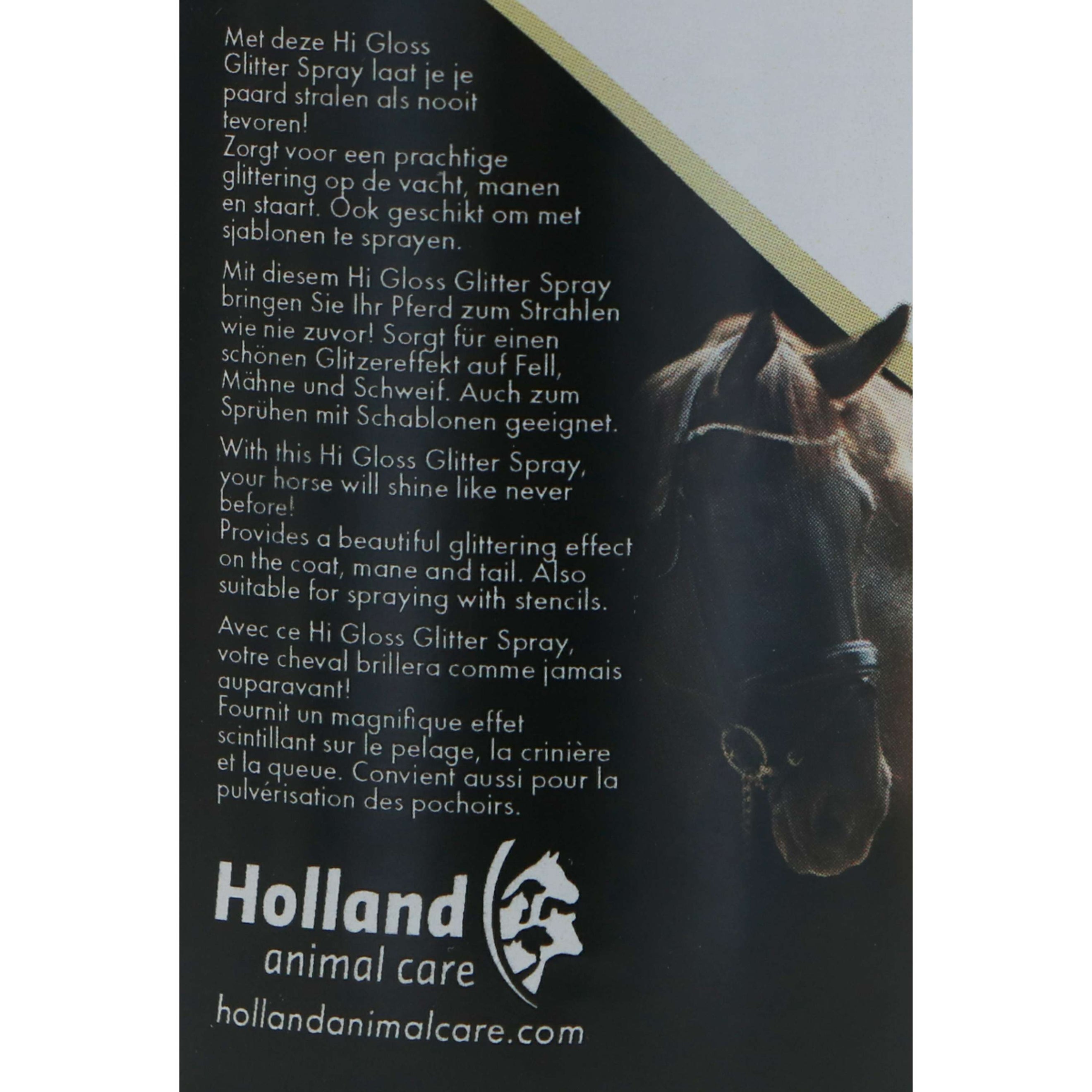 Excellent Spray Scintillant Hi Gloss Argent Excellent Spray Scintillant Hi Gloss Argent