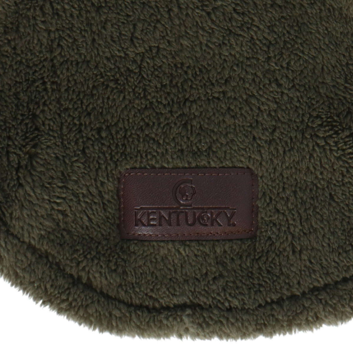 Kentucky Pull Chien Teddy Fleece Pine Green