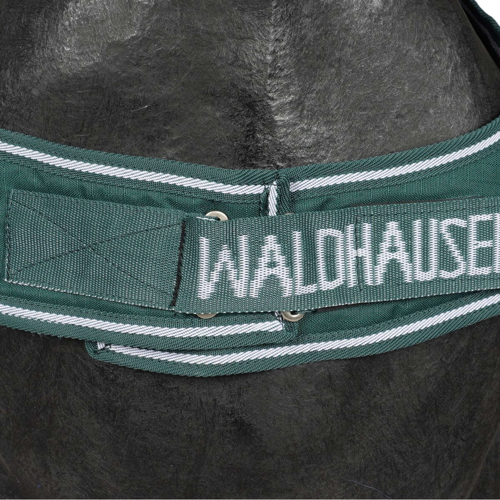Waldhausen Chemise de Marcheur 100g Fir Green