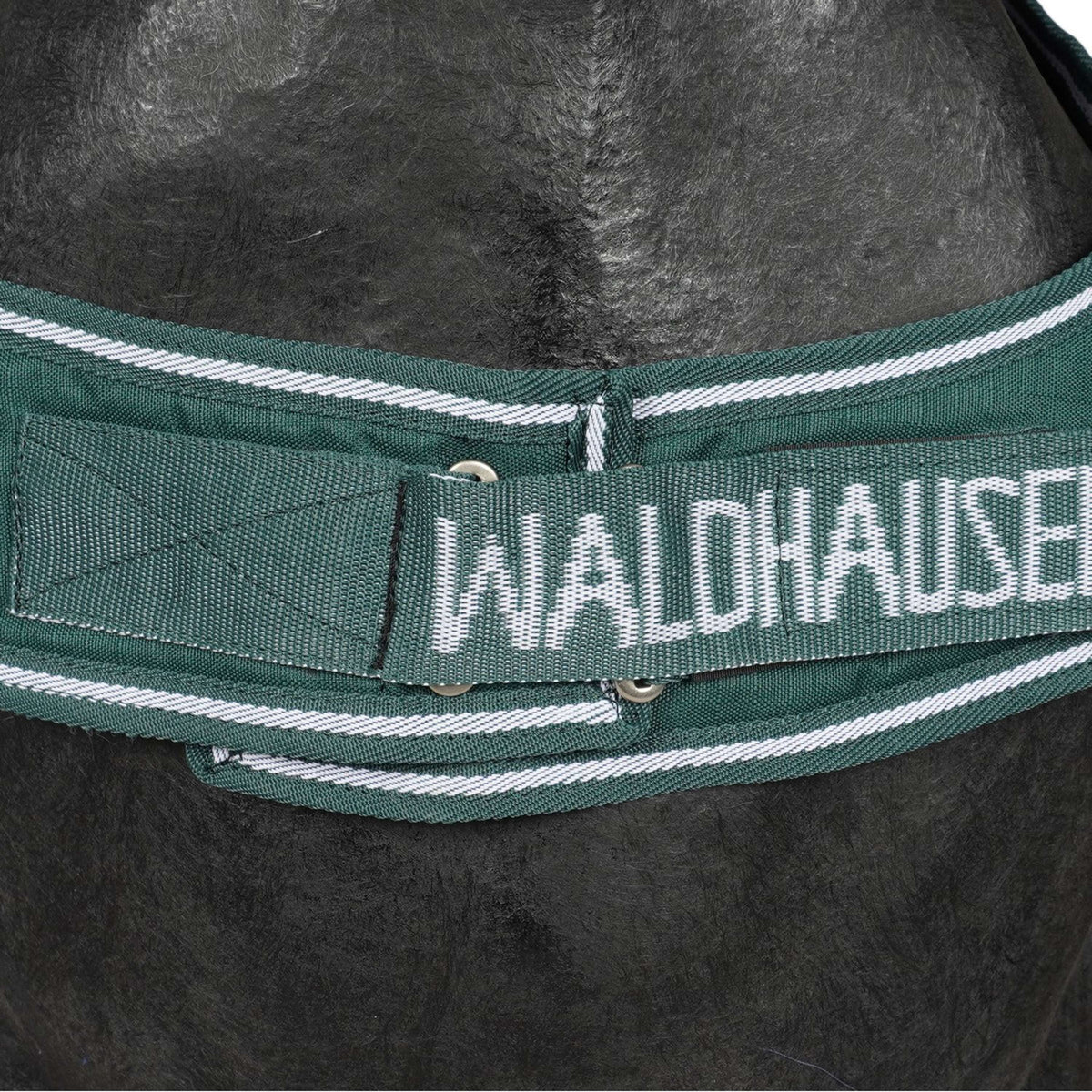 Waldhausen Chemise de Marcheur 100g Fir Green